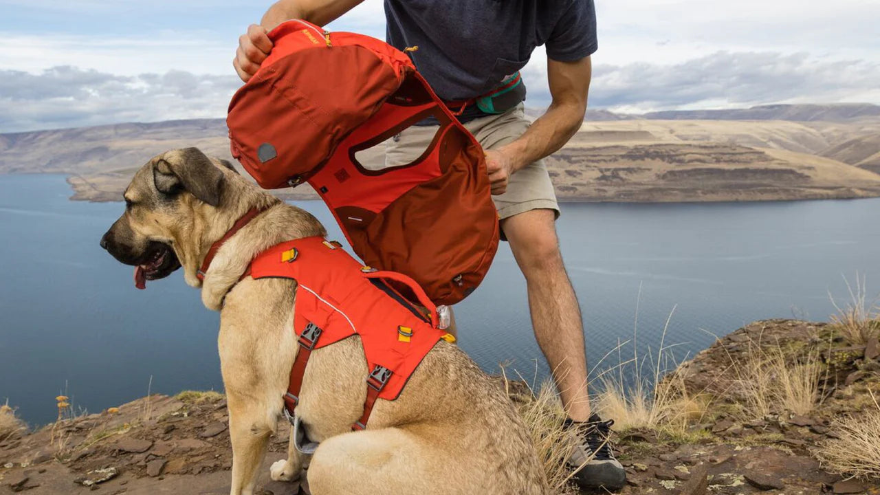 Ruffwear Palisades™ Köpek Sırt Çantası image 12