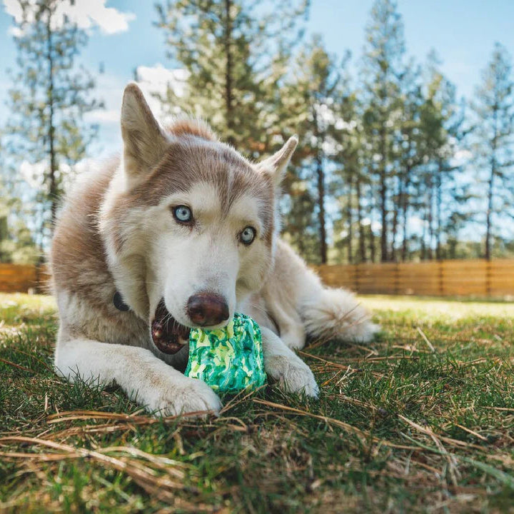 Ruffwear Morel Köpek Oyuncağı image 3