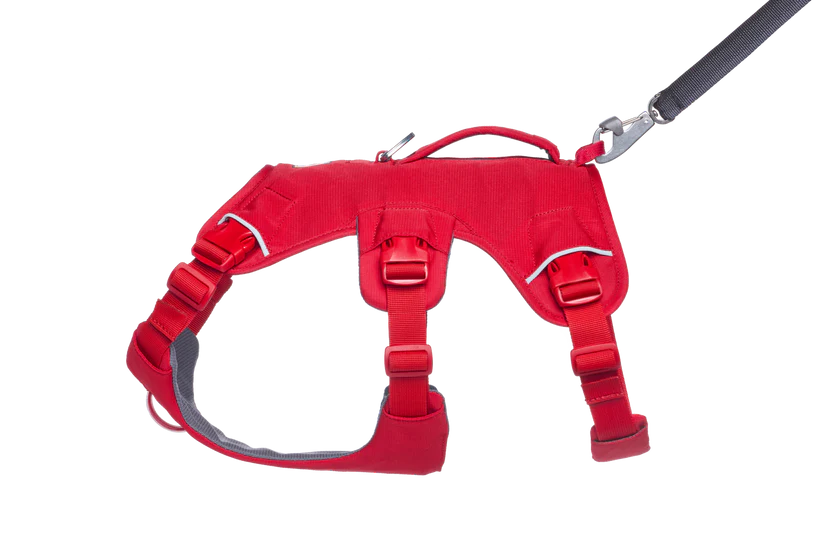Ruffwear Web Master Göğüs Tasması image 4