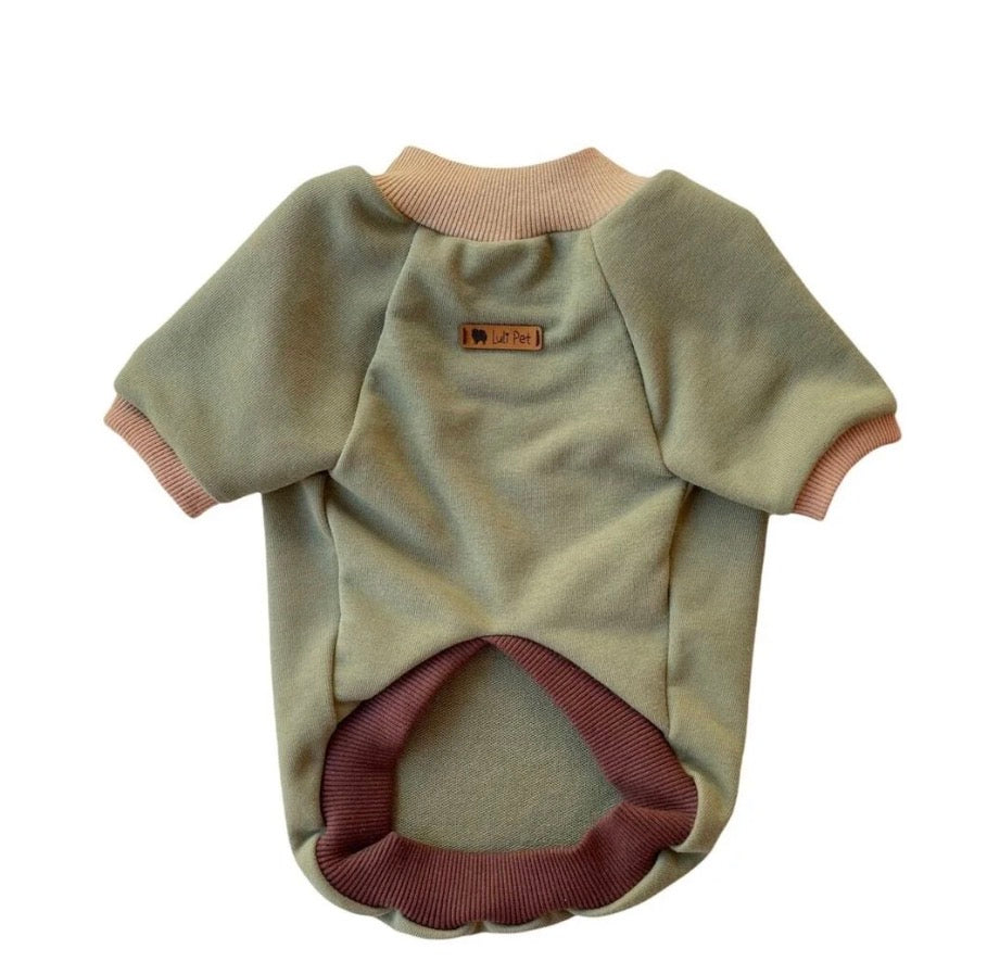 Luli Pet Blok Renk Sweatshirt