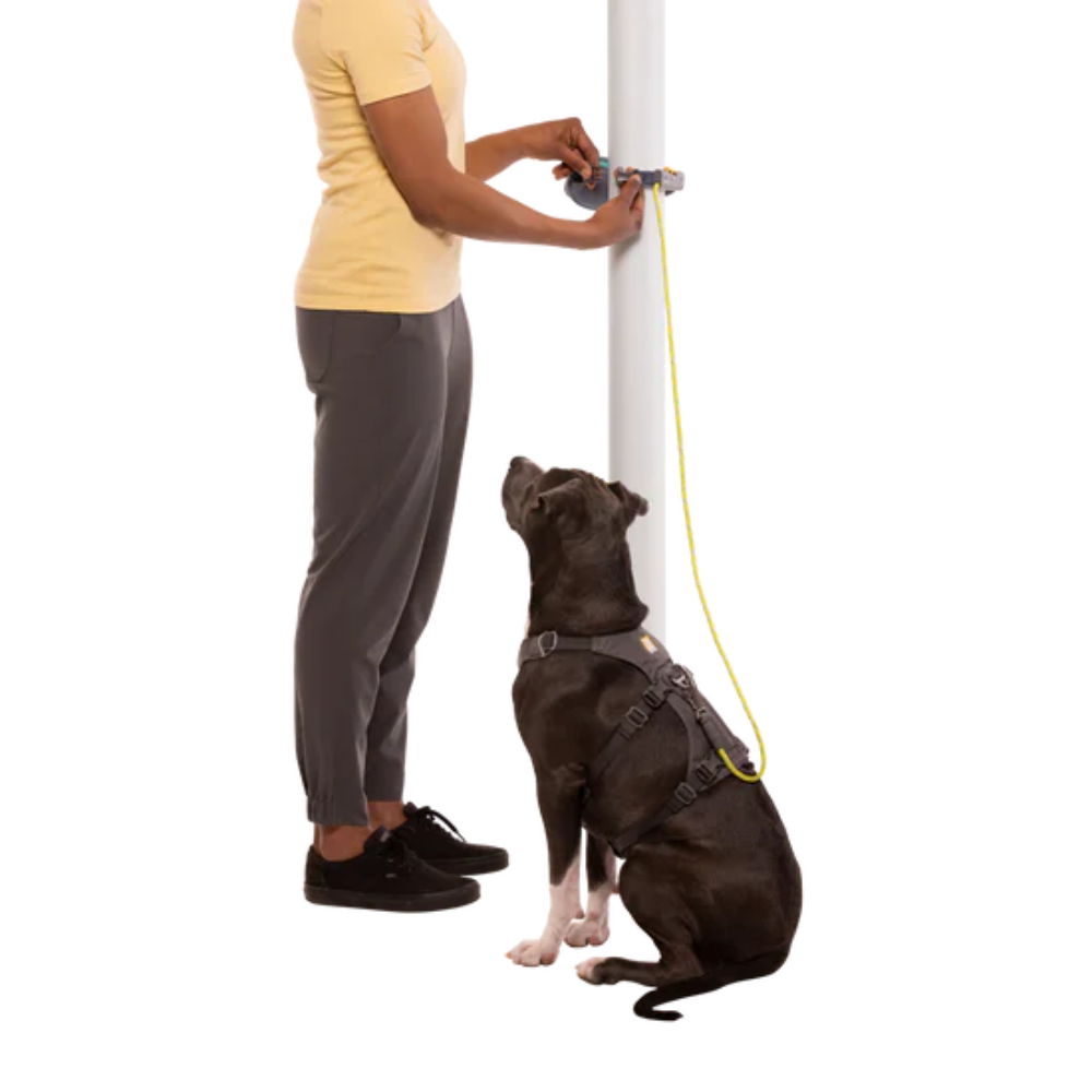 Ruffwear Hitch Hiker™ Leash / Çok Yönlü Ayarlanabilir Tasma image 8