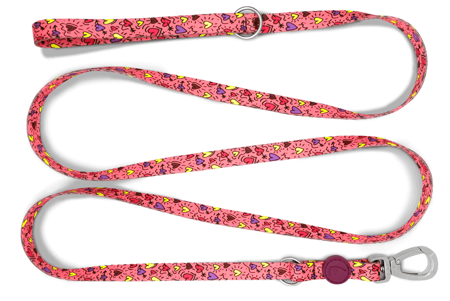 Pink Think Çok İşlevli Gezdirme İpi image 0
