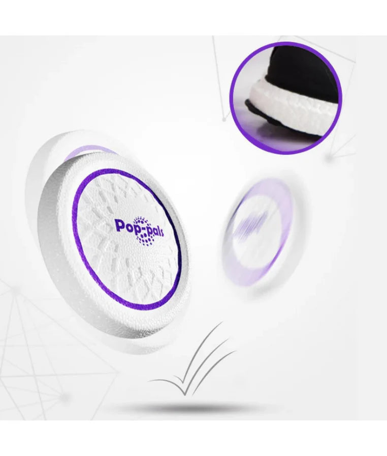Gigwi Flying Disc Frizbi image 2