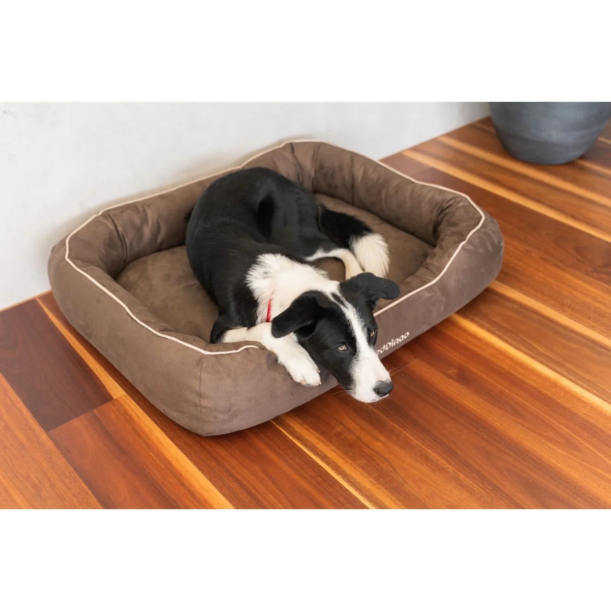Red Dingo Premium Donut Köpek Yatağı image 4
