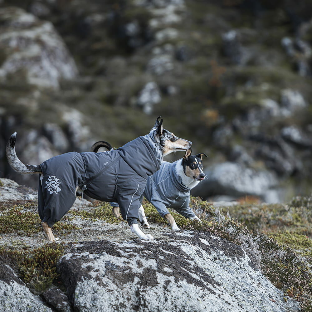 Hurtta Extreme Overall Köpek Tulumu image 2