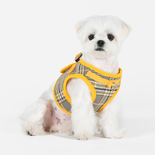 Puppia Lucas Göğüs Tasması image 8