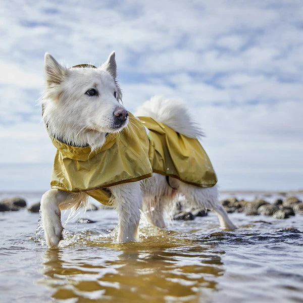 Hurtta Mudventure Reflektör Köpek Montu image 4