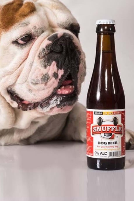 Snuffle Alkolsüz Köpek Birası image 0