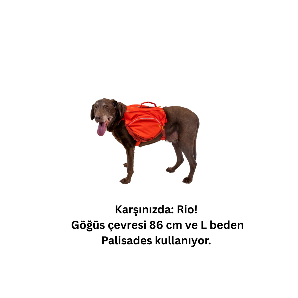 Ruffwear Palisades™ Köpek Sırt Çantası image 8