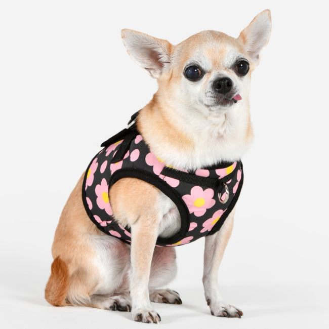 Puppia Bacopas Göğüs Tasması image 3