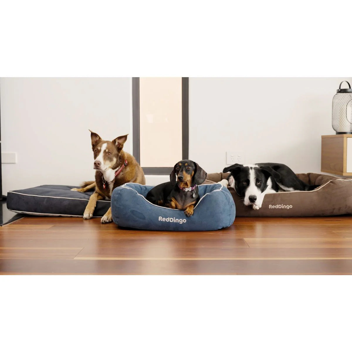 Red Dingo Premium Donut Köpek Yatağı image 3