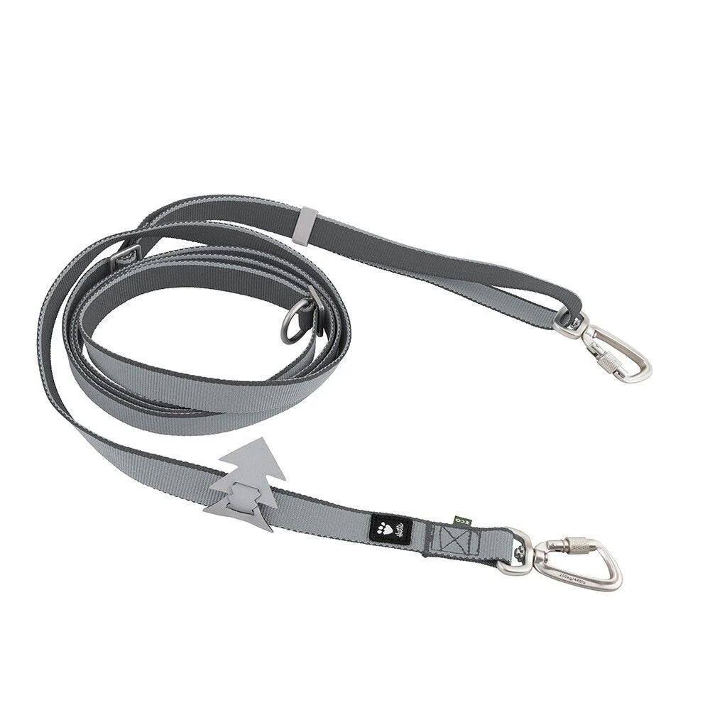 Seeker Standard Leash