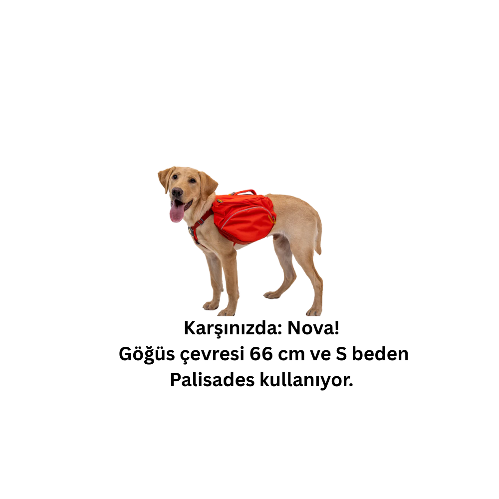 Ruffwear Palisades™ Köpek Sırt Çantası image 10