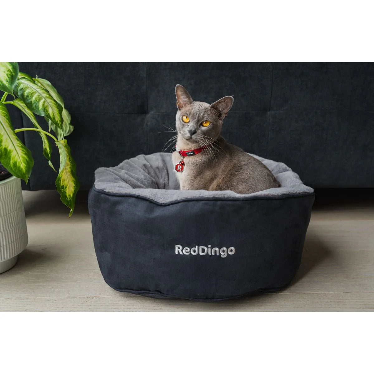 Red Dingo Premium Kedi Yatağı image 2