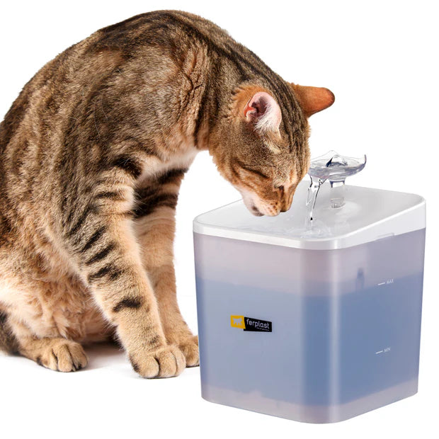 Ferplast Ares Kedi & Küçük Köpek İçin 3 Noktalı Otomatik Su Pınarı 2 L image 3