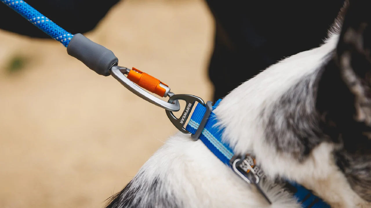 Ruffwear Top Rope Boyun Tasması image 3