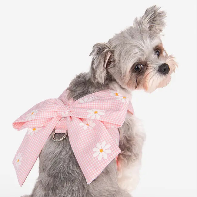 Olchi Candy Ribbon Göğüs Tasması image 7