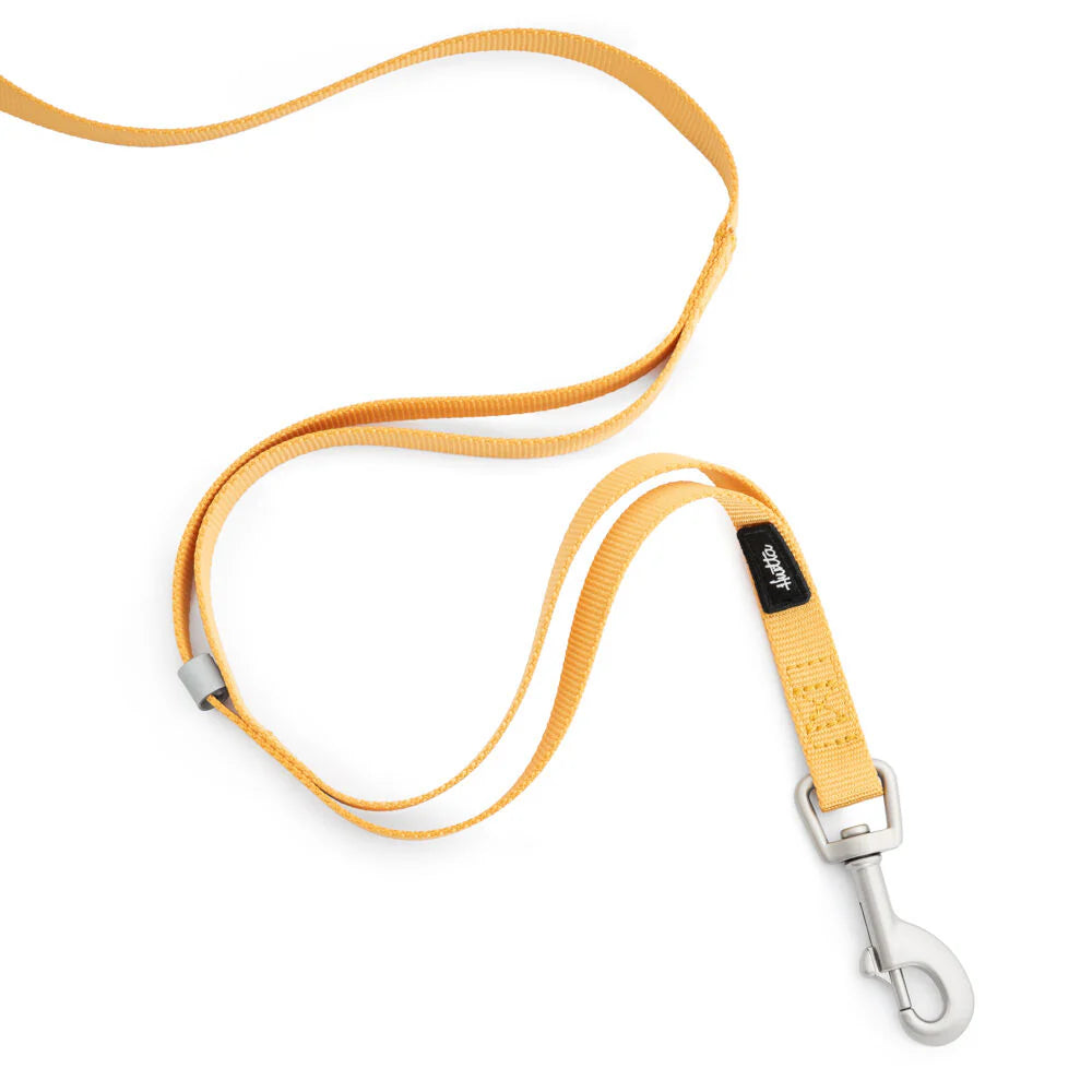 Seeker Standard Leash