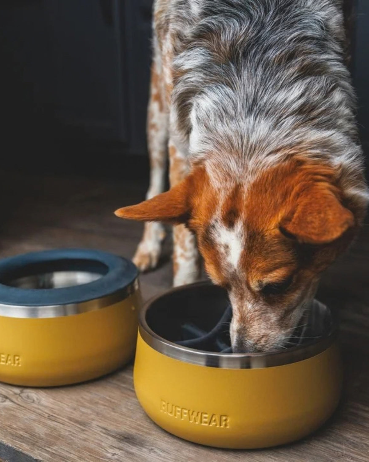 Ağaç Kökü Desenli Silikon Gri Yavaş Yeme Aparatı Ruffwear Basecamp Slow Feeder Bowl Insert
