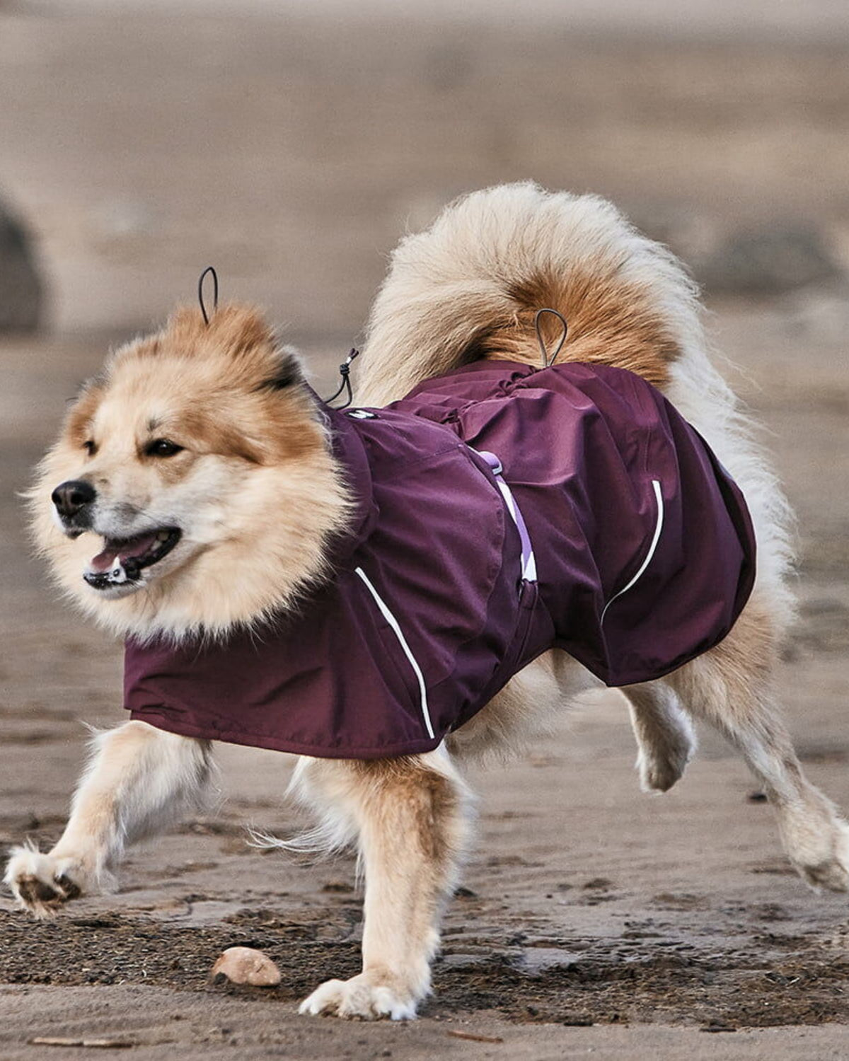 Astarsız Ultra Hafif Su Geçirmez Reflektörlü Koyu Yeşil Köpek Yağmurluğu Hurtta Mudventure Coat ECO