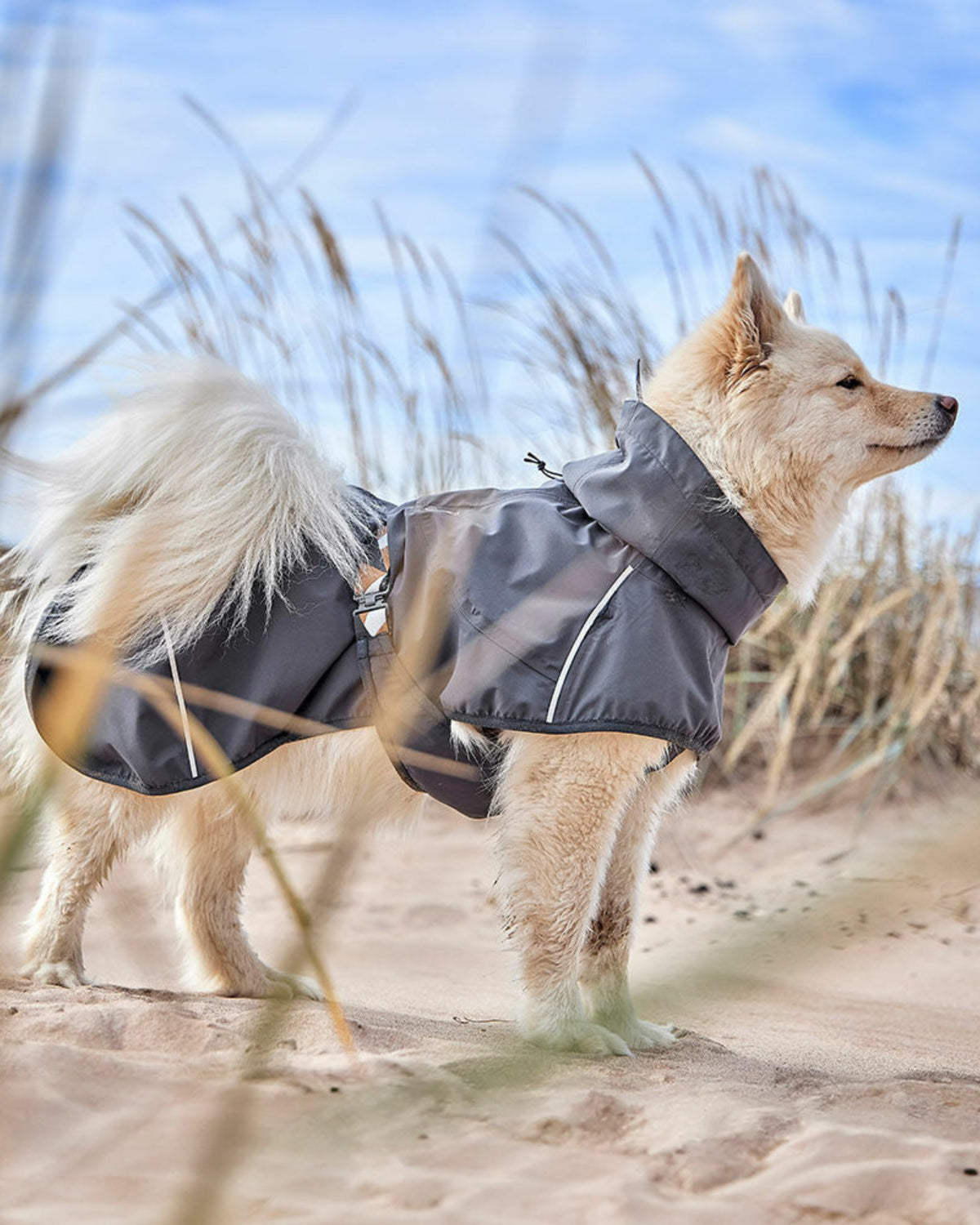 Astarsız Ultra Hafif Su Geçirmez Reflektörlü Koyu Yeşil Köpek Yağmurluğu Hurtta Mudventure Coat ECO