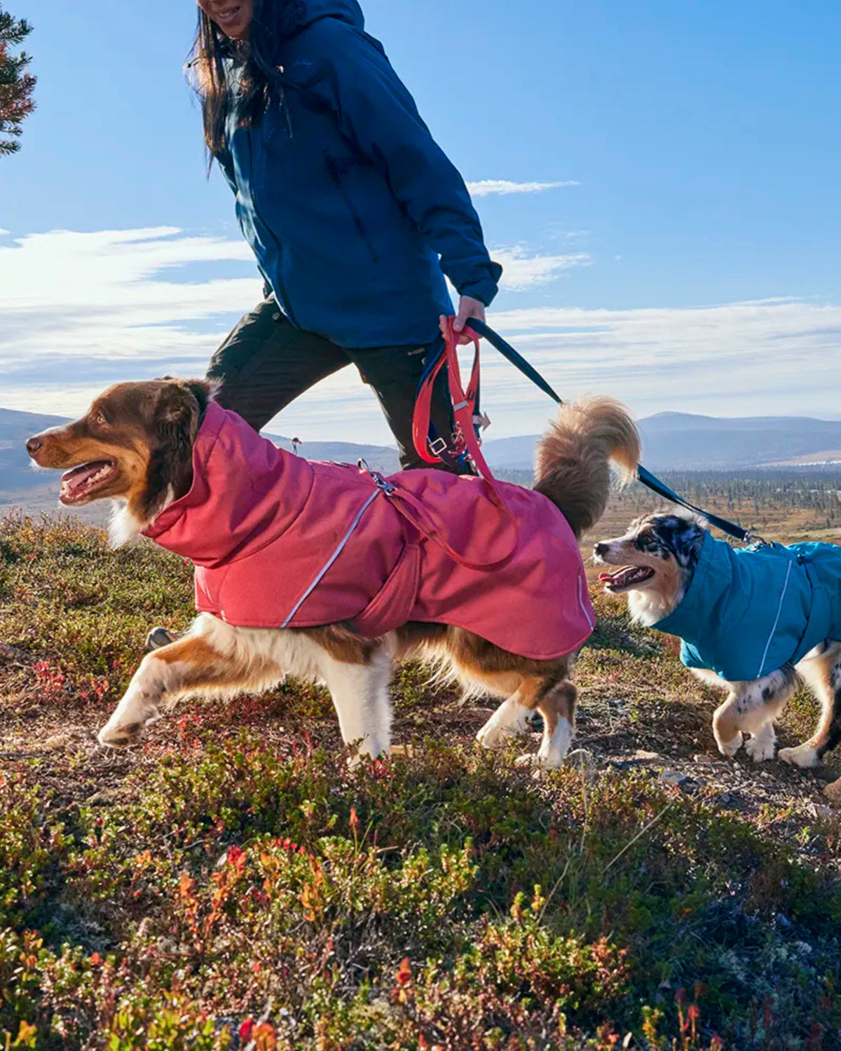Ayarlanabilir Çok Fonksiyonlu Köpek Gezdirme Kayışı Hurtta Multilong Leash II, 100–300 cm