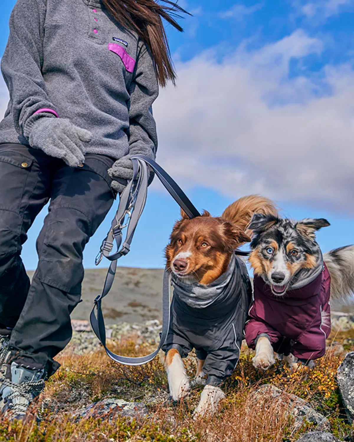 Ayarlanabilir Çok Fonksiyonlu Köpek Gezdirme Kayışı Hurtta Multilong Leash II, 100–300 cm