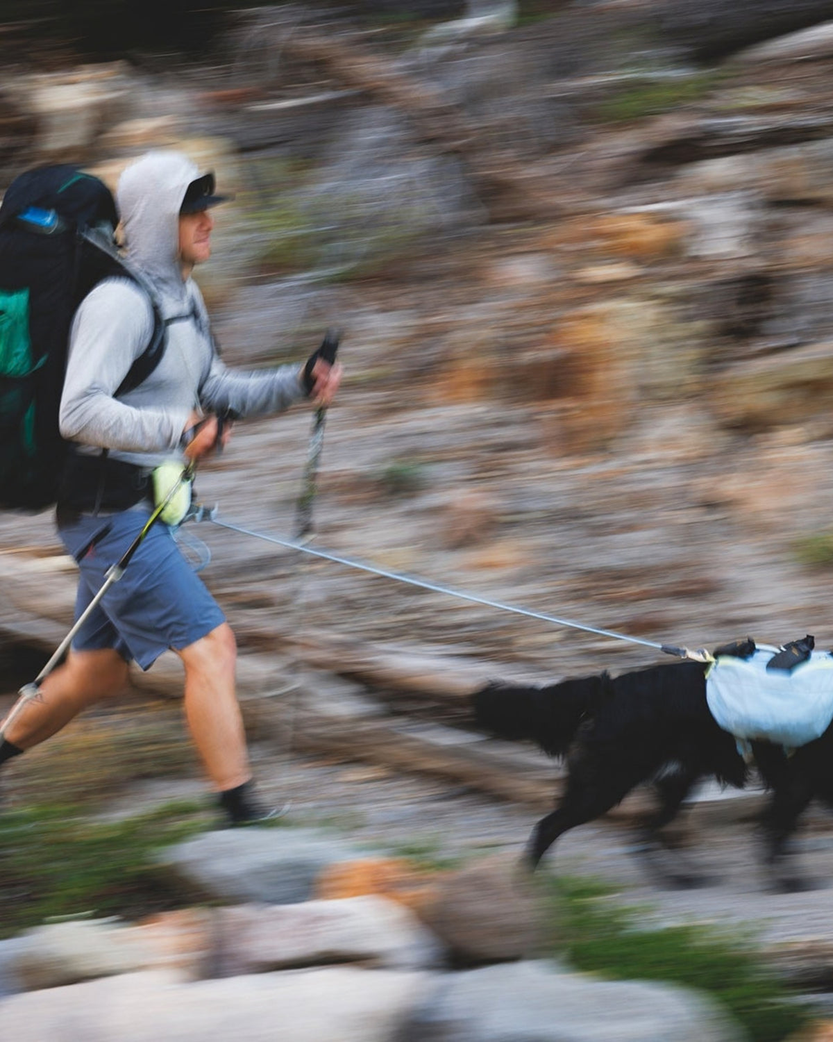Ayarlanabilir Köpek Gezdirme Kayışı Ruffwear Hitch Hiker