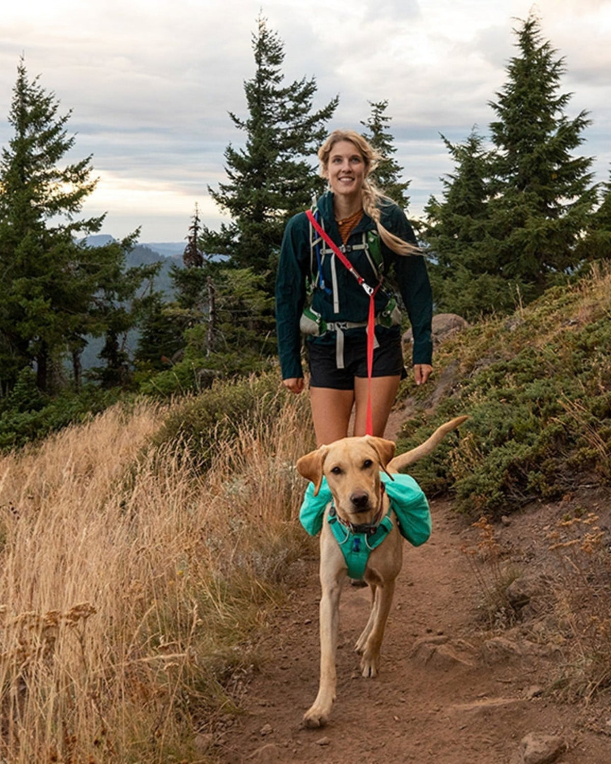 Ayarlanabilir Köpek Tasması Ruffwear Switchbak