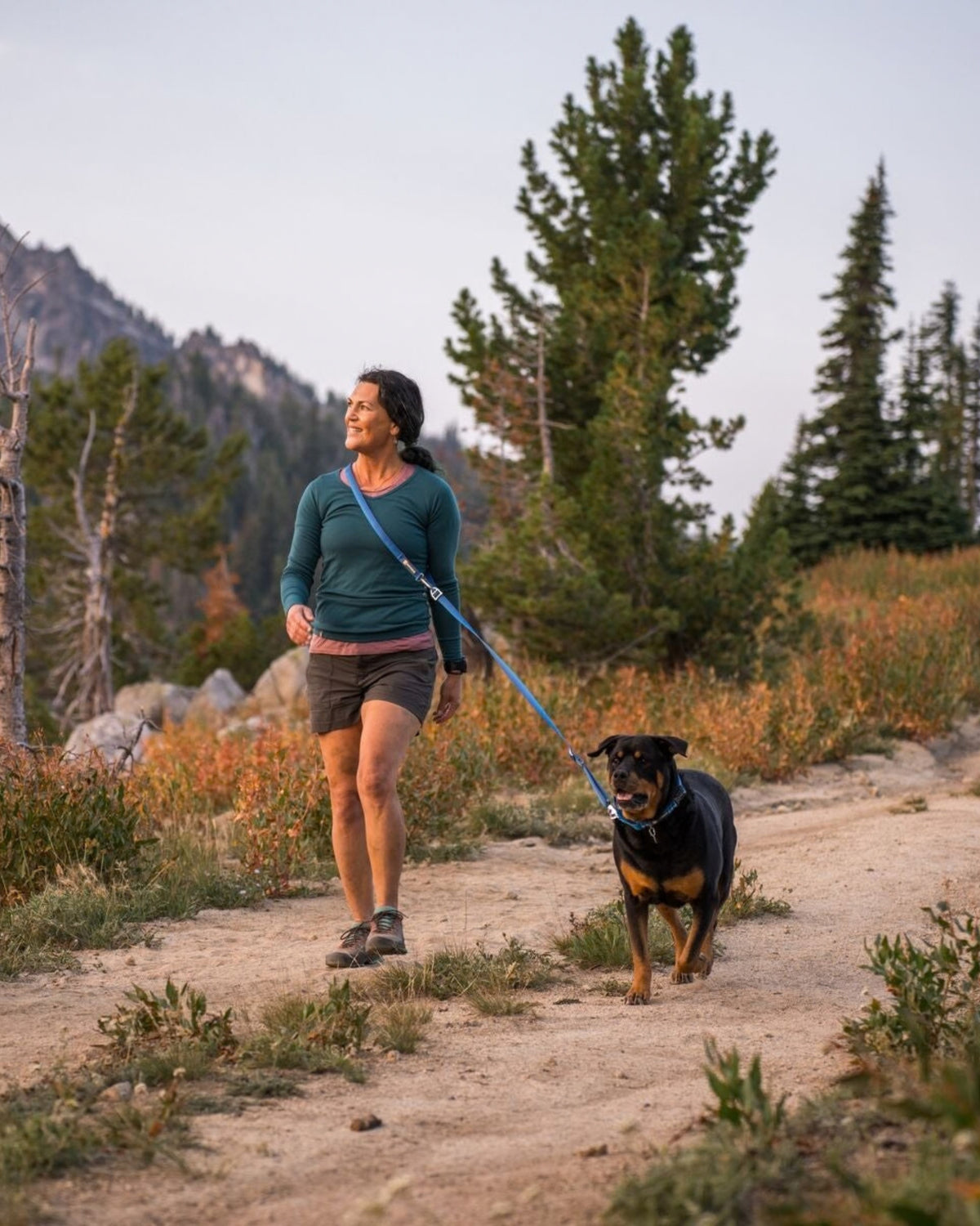 Ayarlanabilir Köpek Tasması Ruffwear Switchbak