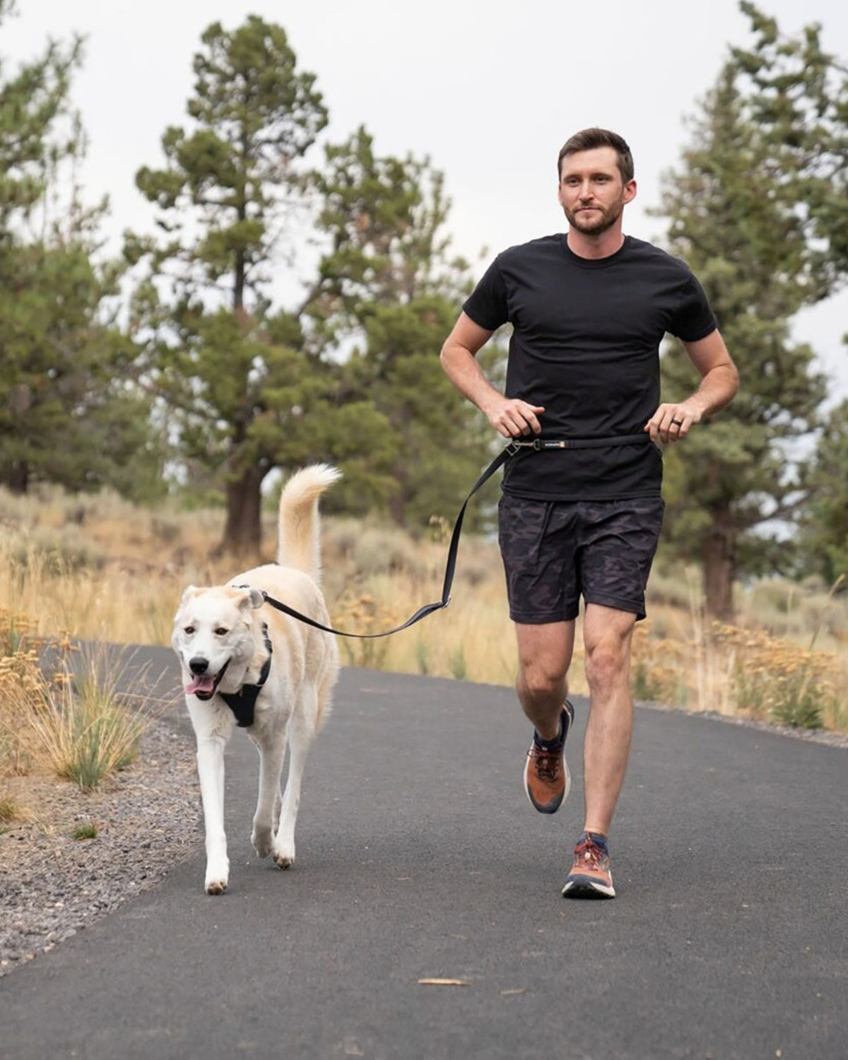 Ayarlanabilir Köpek Tasması Ruffwear Switchbak