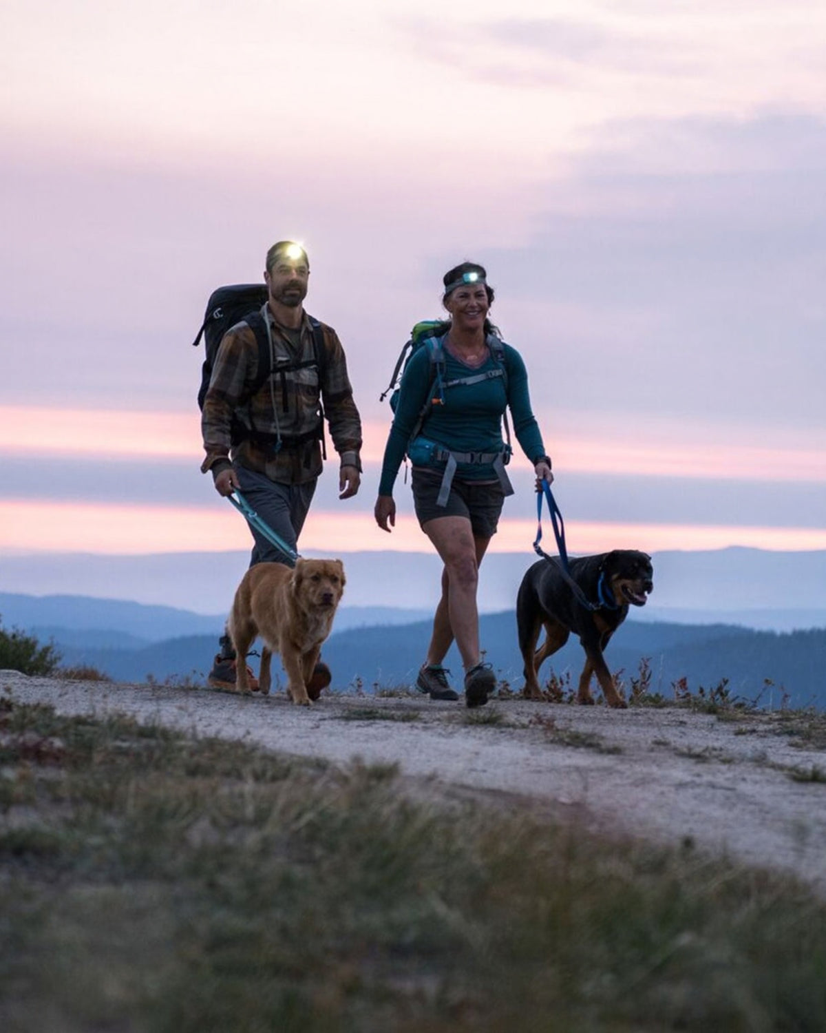 Ayarlanabilir Köpek Tasması Ruffwear Switchbak
