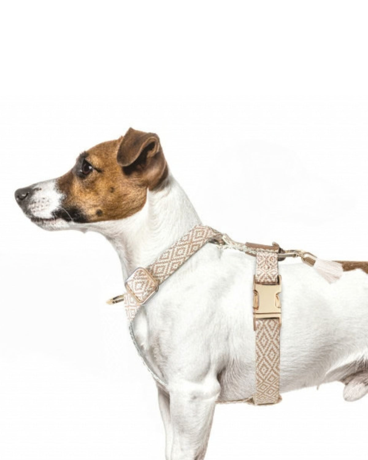 Ayarlanabilir Y Göğüs Tasması Milk&Pepper Oroko Strap Harness