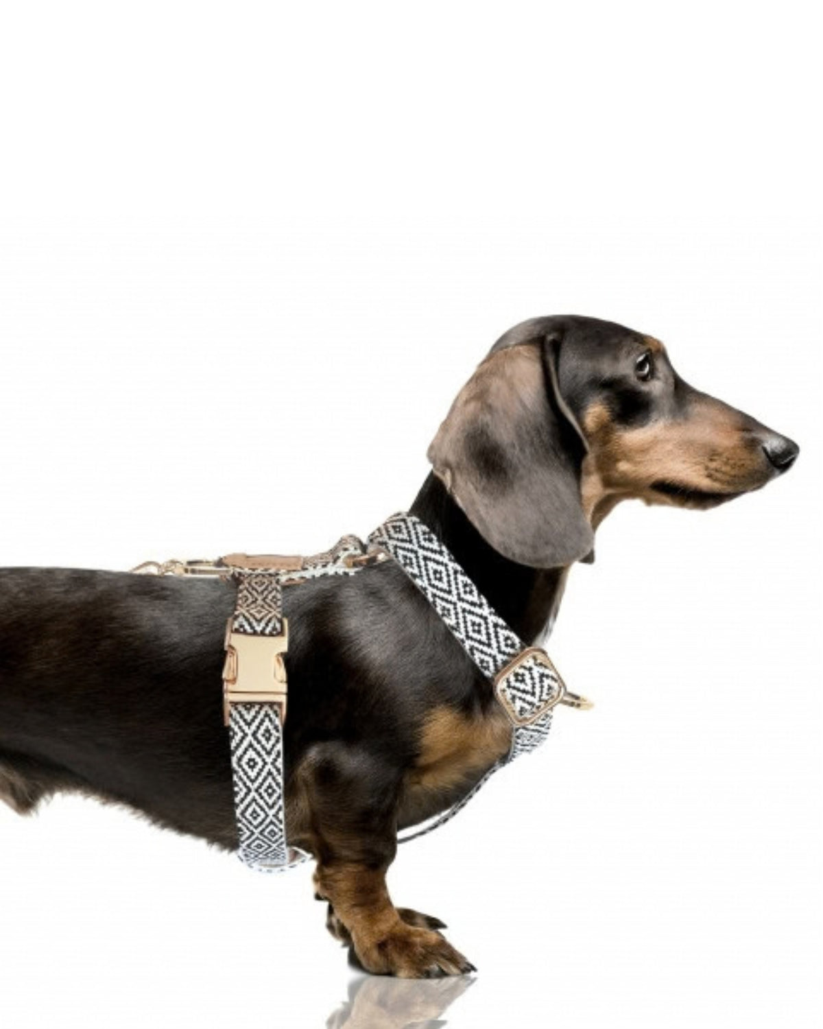 Ayarlanabilir Y Göğüs Tasması Milk&Pepper Oroko Strap Harness