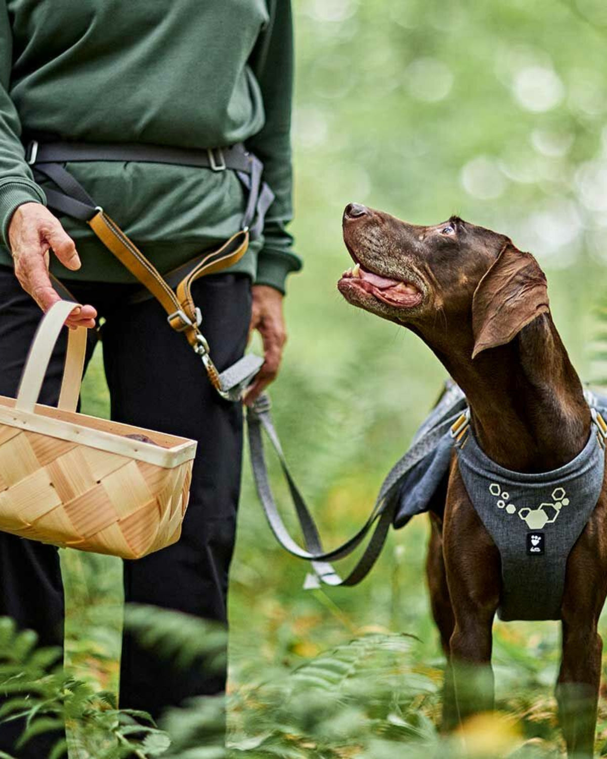 Bacak Kayışlı Çift Cepli Eller Serbest Köpek Gezdirme Kemeri Gri Hurtta Expedition Belt ECO