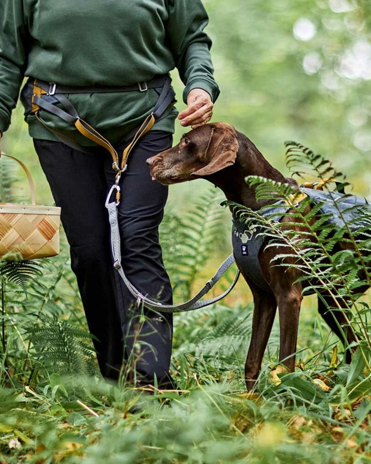 Bacak Kayışlı Çift Cepli Eller Serbest Köpek Gezdirme Kemeri Gri Hurtta Expedition Belt ECO