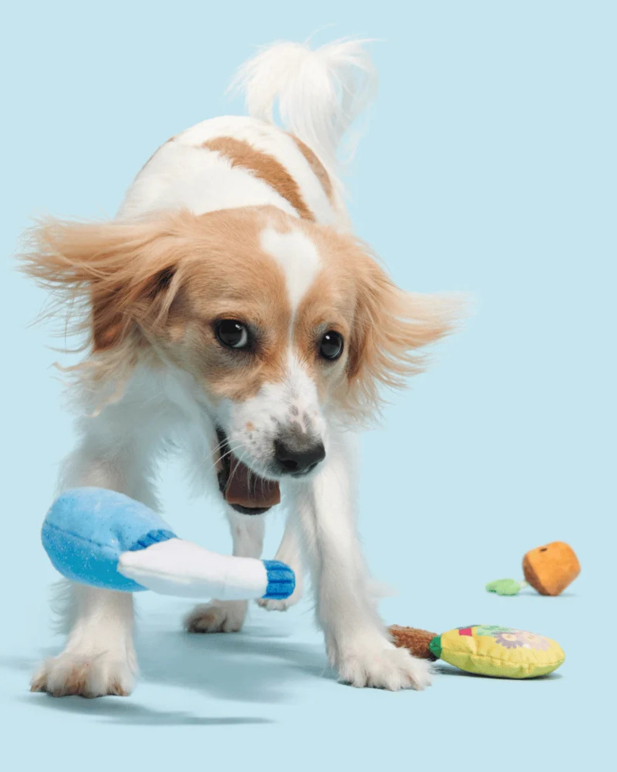 Bahçe Temalı 4'lü Peluş Köpek Oyuncak Seti BARK Greenhouse Gang
