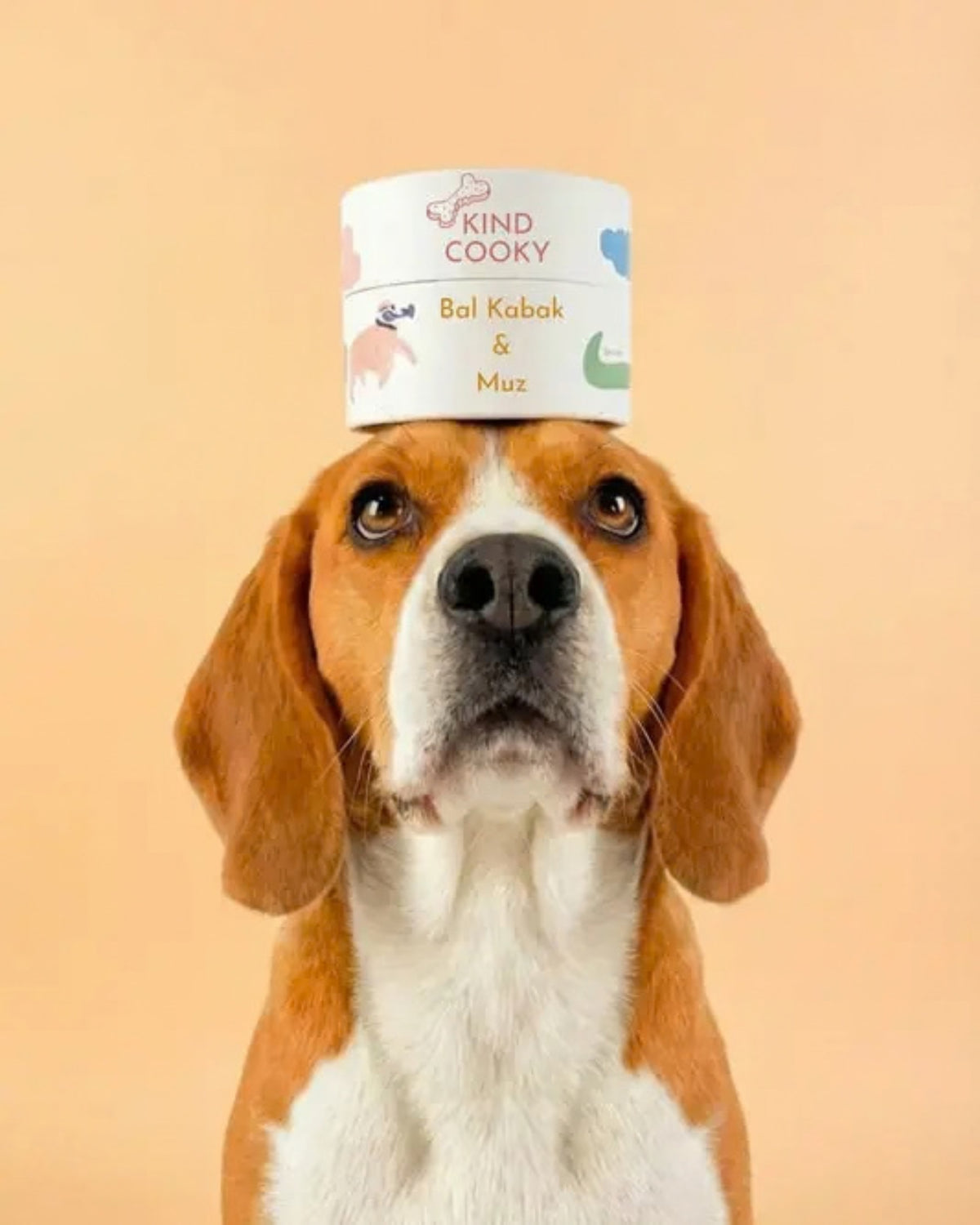 Bal Kabaklı ve Muzlu Vegan Köpek Ödülü Kind Cooky Eğitim Kurabiyesi 100 g