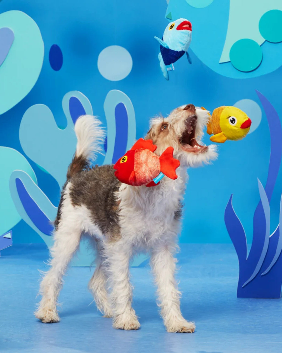 Balık Figürlü 3'lü Peluş Köpek Oyuncak Seti BARK The Groupers