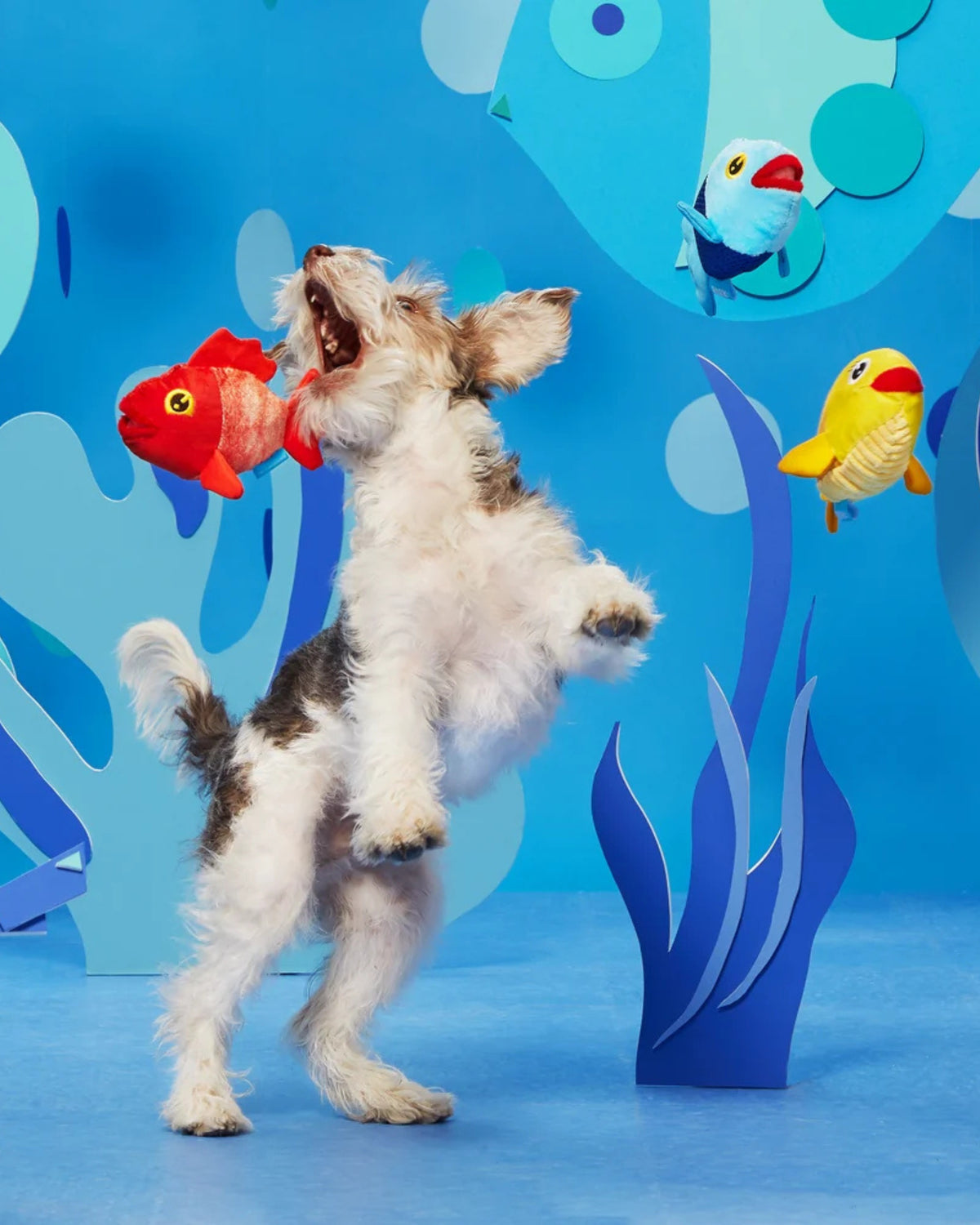 Balık Figürlü 3'lü Peluş Köpek Oyuncak Seti BARK The Groupers