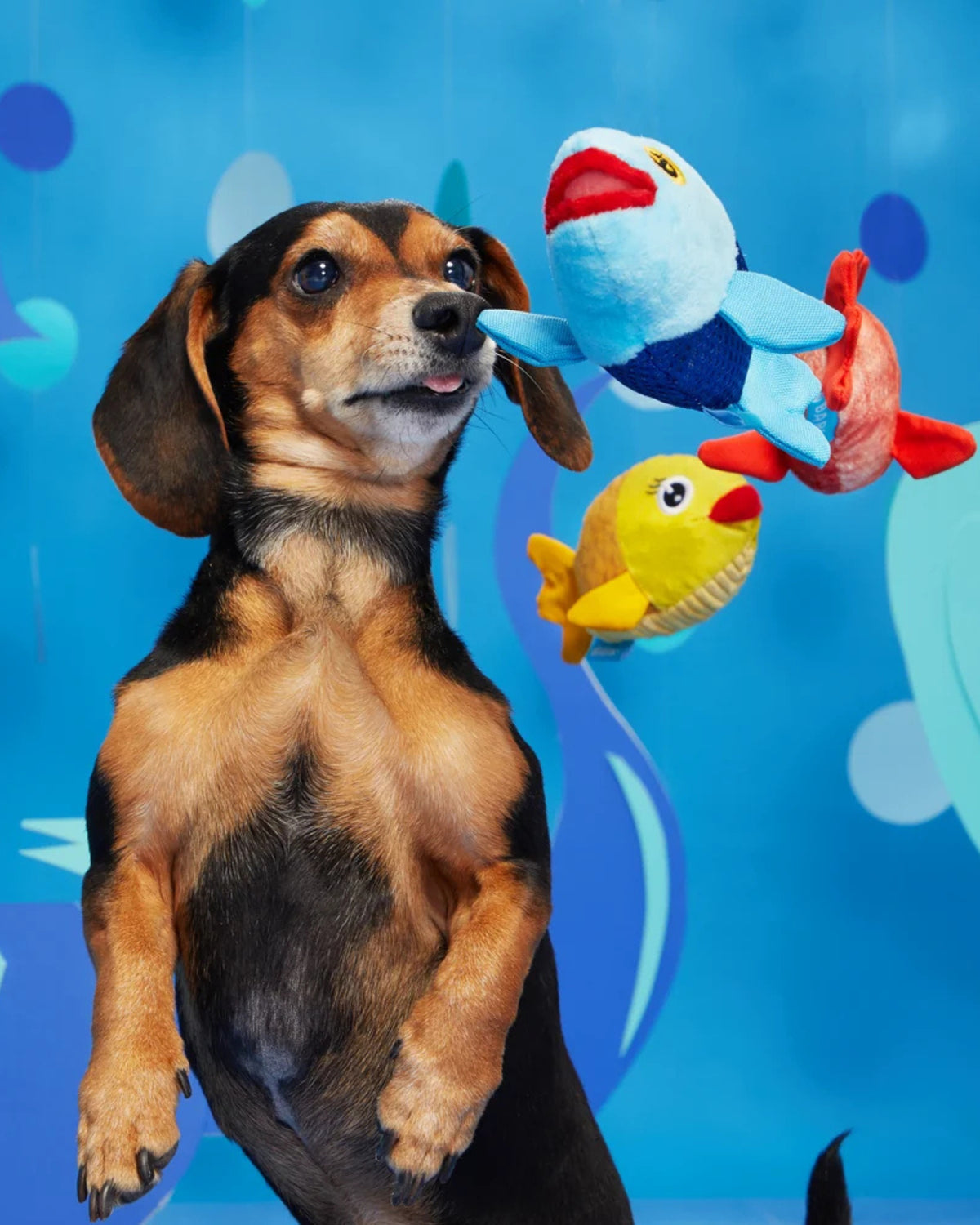 Balık Figürlü 3'lü Peluş Köpek Oyuncak Seti BARK The Groupers