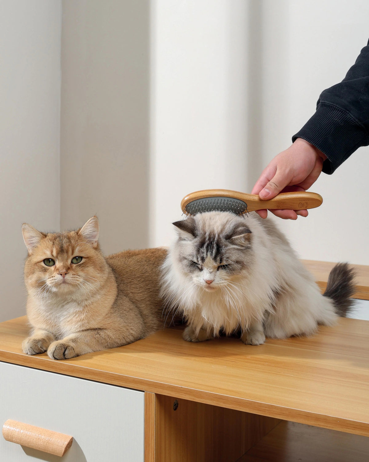 Bambu Saplı Top Uçlu Paslanmaz Çelik Köpek Tarama Fırçası M-Pets Bamboo Ball Pin Brush