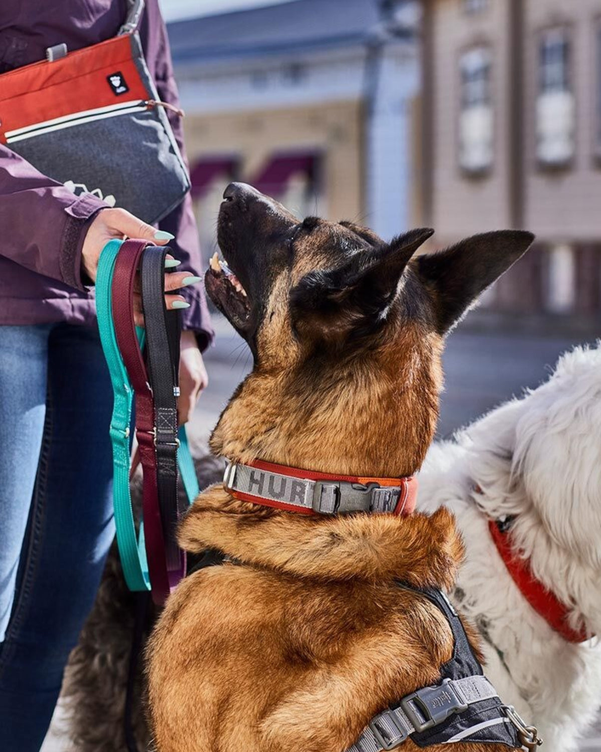 Baştan Geçirilen Dolgulu Reflektörlü Köpek Boyun Tasması Orta ve Büyük Irklar İçin Hurtta Rover Collar
