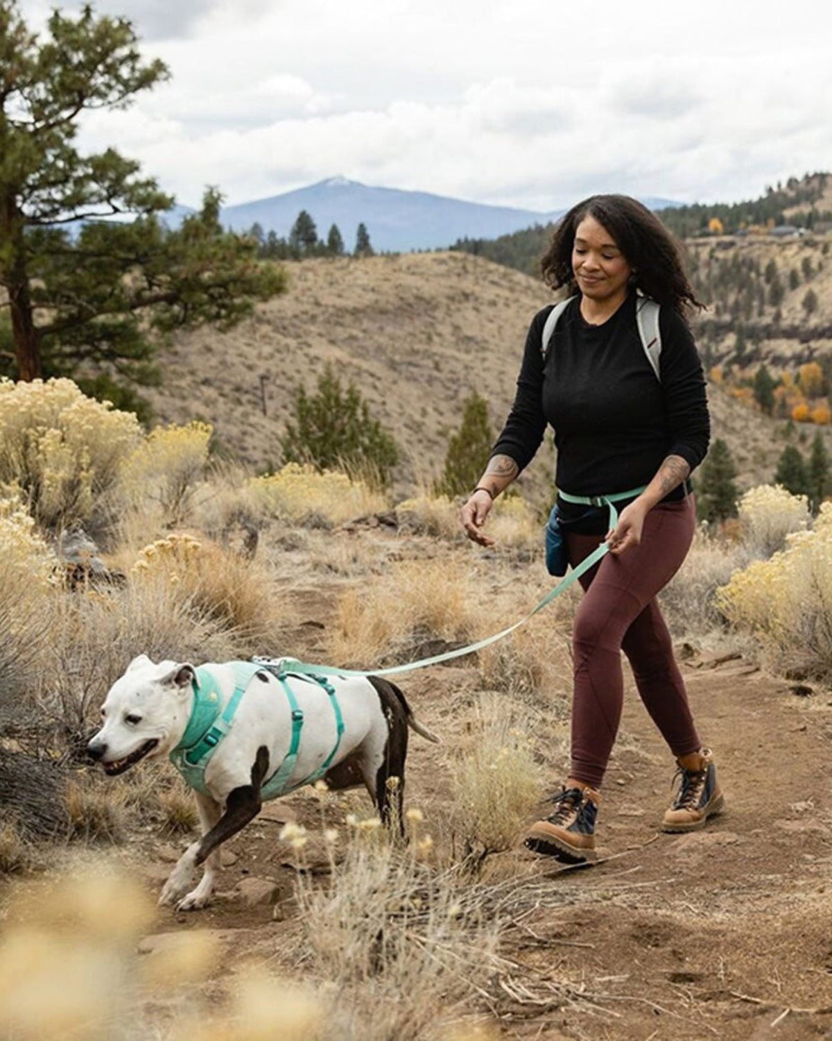 Bele Takılan Köpek Tasması Ruffwear Flagline