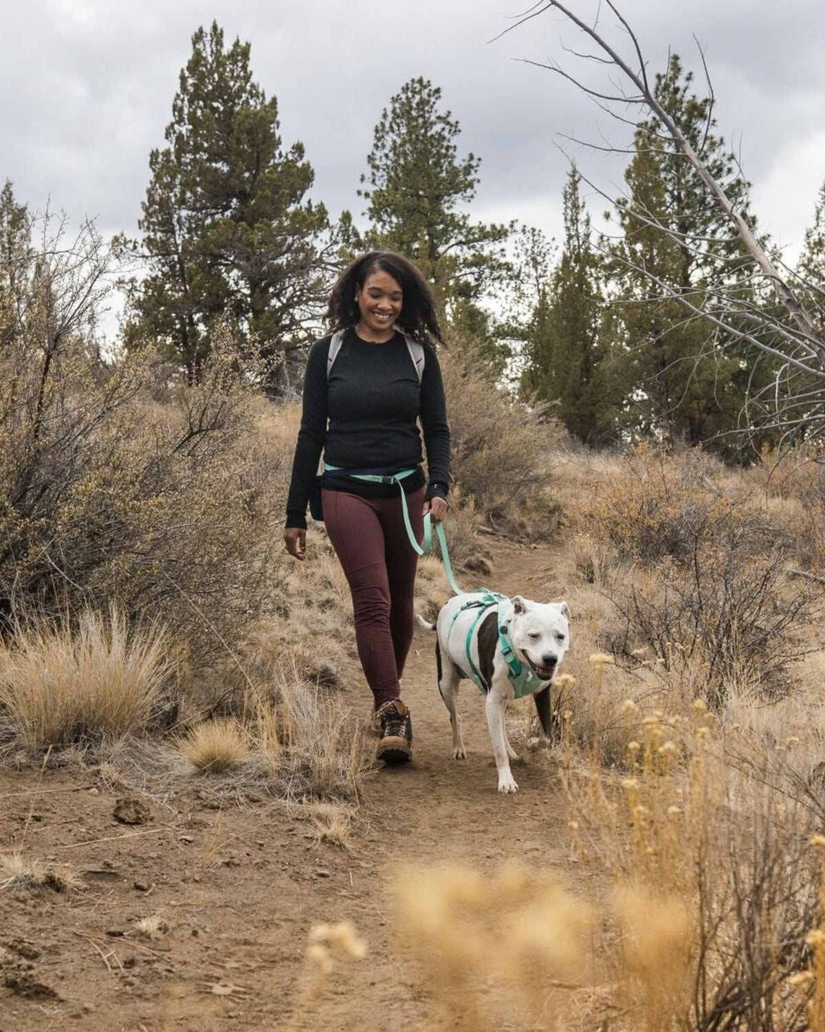 Bele Takılan Köpek Tasması Ruffwear Flagline