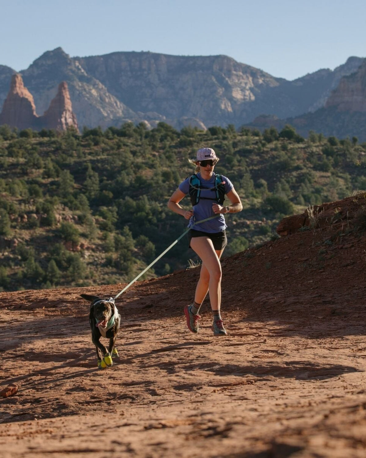 Bele Takılan Köpek Tasması Ruffwear Flagline