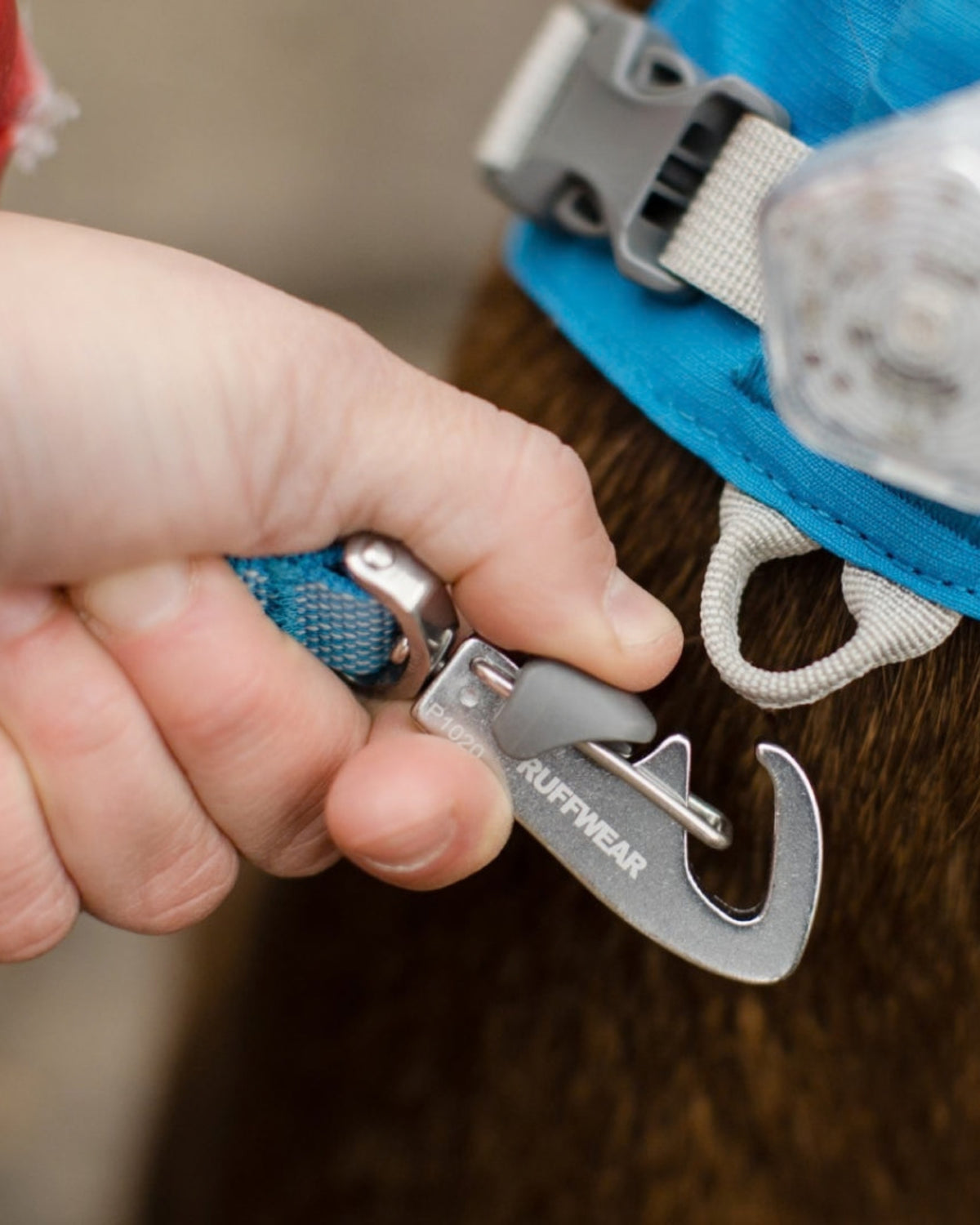Bele Takılan Köpek Tasması Ruffwear Flagline