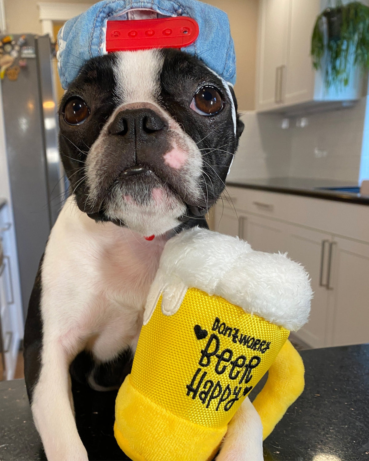 Bira Bardağı Figürlü Hışırtılı Sesli Sarı Peluş Köpek Oyuncağı P.L.A.Y. Clive & Bacon Barking Beer
