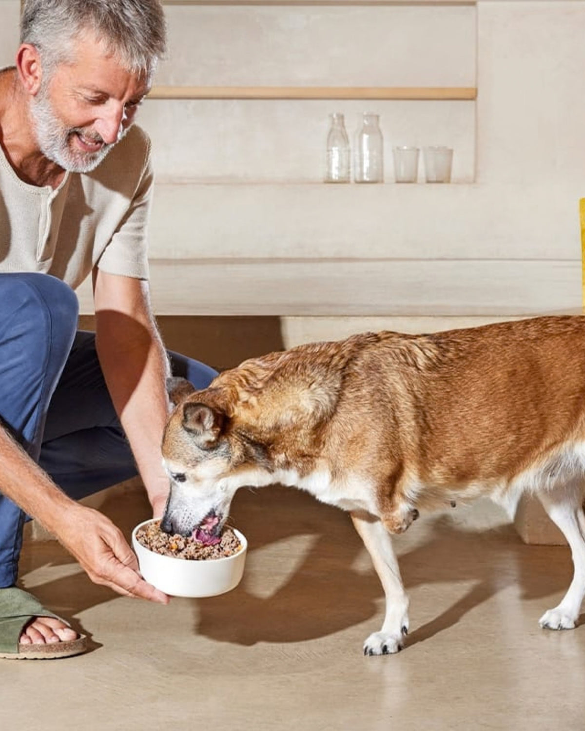 Buharda Pişirilmiş Tek Proteinli Tavuklu Köpek Maması Gosbi Natsbi Steamed Dog Chicken