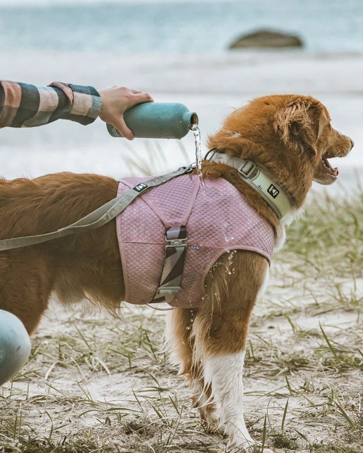 Buharlaşmalı Köpek Serinletici Yelek Hurtta Cooling Wrap